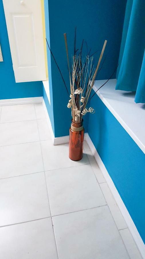 Donhead New Kingston Apt 5 Extérieur photo